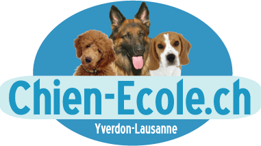 chien école yverdon