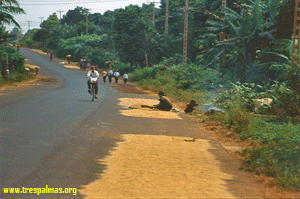 DS images - Vietnam 1993